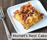 Hornet's Nest Cake